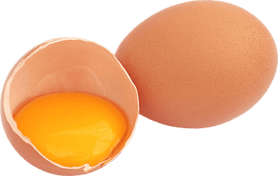 Куриное яйцо фото