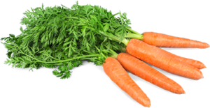 Морковь история 