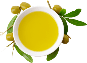 Оливковое масло история 