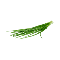 Зеленый лук